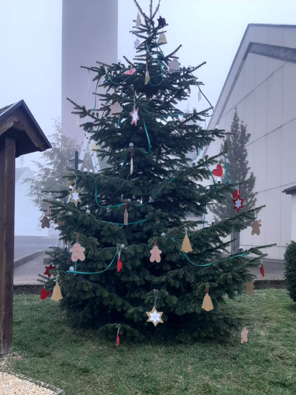 Weihnachtsbaum